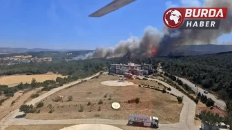 Çanakkale’de tarım arazisinde başlayan yangın ormana sıçradı.