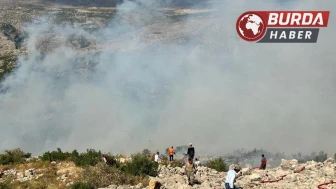 Diyarbakır’daki orman yangınına havadan ve karadan müdahale sürüyor.
