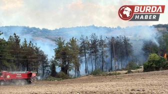 Osmaniye’nin Sumbas ilçesinde orman yangını başladı.