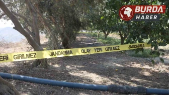 Arkadaşını narenciye bahçesinde satırla doğrayan şahıs yakalandı.