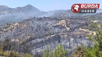 Ot temizlemek isterken ormanı yakan 3 kişi gözaltına alındı