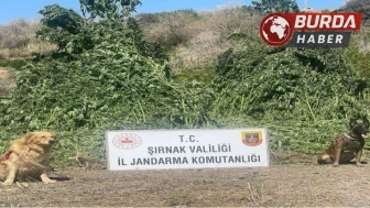 Şırnak’ta 11 milyon liralık kaçakçılık olayı engellendi.