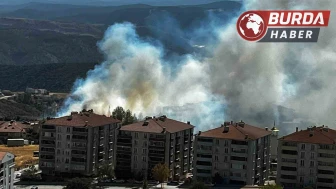 Salça yaparken sıçrayan kıvılcımla 30 dönüm makilik alan kül oldu