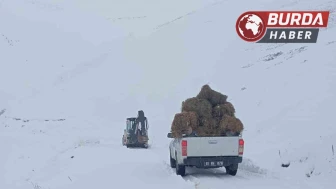 Trabzon kar mesaisine bu sene erken başladı.