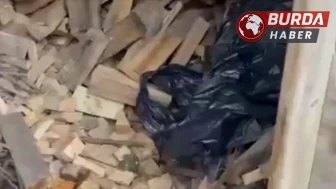 Samsun'da Uyuşturucu Kumpası Çözüldü: İhbarın Ardında Planlı Tuzak