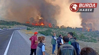 FETÖ Üyesi Astsubay Orman Yangınlarını Kasten Çıkarmakla Yargılanıyor