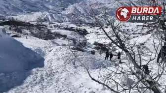 Batman'da Meydana Gelen Çığ Faciasında 45 Küçükbaş Hayvan Telef Oldu