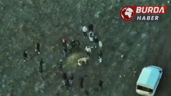 Köpek Dövüştüren 14 Kişiyi Dron ile Tespit Ederek Gözaltına Alındı