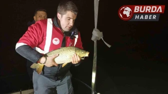 Samsun’da kaçak avcılığa geçit yok: 60 kiloluk sazan suya bırakıldı