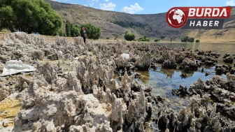 Van Gölü’nün mikrobiyalitleri Guinness yolunda ilk engeli aştı