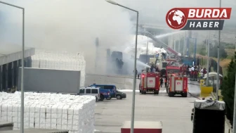Kağıt ambalajı yapan iş yerinde korkutan yangın