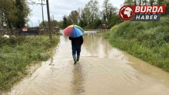 Sağanak köprü yıktı, tarım arazileri ve evleri su bastı