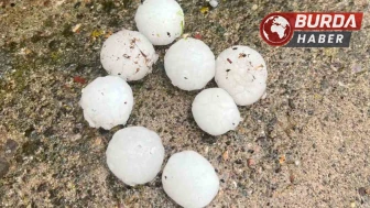 Kayseri'de ceviz büyüklüğünde yağan dolu ağaçlara zarar verdi