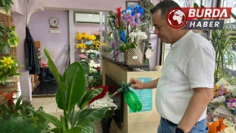 Yaz aylarında çiçek bakımında dikkat edilmesi gerekenler