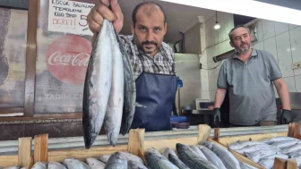Balık tezgahlarında sezonun favorisi palamut ve hamsi hareketlilik getirdi.