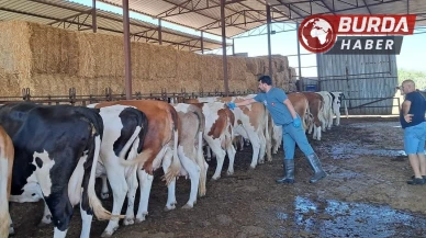 Aydın’ın Nazilli İlçesinde 13 Mahalle Karantinaya Alındı