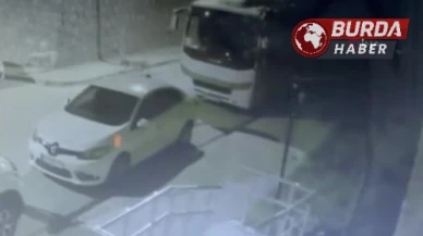 Sivas'ta Sokak Köpeklerinin Yol Açtığı 108 Bin TL'lik Zarar!