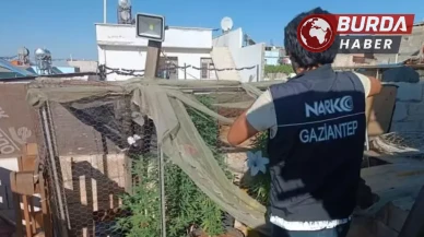 Gaziantep'te Uyuşturucu Örgütüne Yönelik Operasyon: 16 Tutuklama