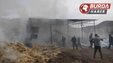Malatya'da Besi Çiftliğinde Yangın: Maddi Hasar Meydana Geldi