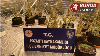 Villada Uyuşturucu Yetiştiren Torbacı ’Sevgililer’ Yakalandı