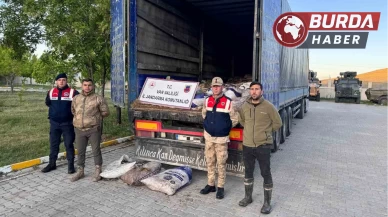 Van’da 22 ton 475 kilogram kaçak avlanmış balık yakalandı.