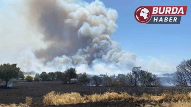 Çanakkale’de tarım arazisinde başlayan yangın ormanlık alana sıçradı