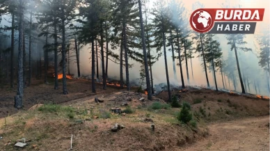 Adana’nın Feke ilçesi sınırlarında orman yangını çıktı.