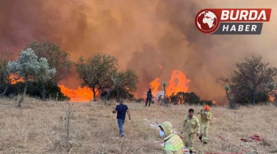Aydın genelinde hafta sonu 11 farklı noktada yangın çıktı.