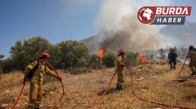 Girit Adası’nda orman yangını çıktı, 5 bin kişi tahliye edildi.