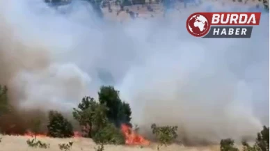 Gerger’de meydana gelen orman yangını korkuttu.