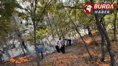 Adana Feke’de orman yangınına ekiplerin müdahaleleri devam ediyor.