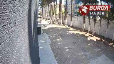Başkan, taş döşemek istemeyen zabıtaları sopayla dövdü