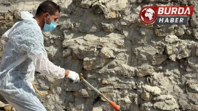 Batman’da akreplerin istila ettiği köyde ilaçlama gerçekleştirildi.