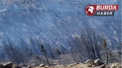 Kahramanmaraş’taki orman yangını ile mücadele sürüyor.