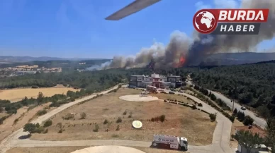 Çanakkale’de tarım arazisinde başlayan yangın ormana sıçradı.