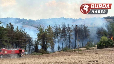Osmaniye’nin Sumbas ilçesinde orman yangını başladı.