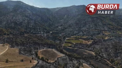 Buldan’da zorlu arazi şartları yangına müdahaleyi güçleştiriyor.