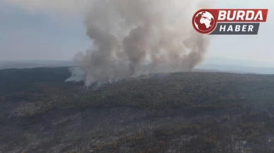 Karabük’teki orman yangını tek noktada devam ediyor.