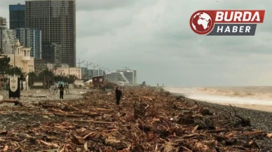 Çoruh Nehri’nin getirdiği ağaç kütükleri Batum sahillerini doldurdu.