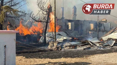 Aşağı Soku Yaylası’nda 12 yapı küle döndü: Kundaklama şüphesi