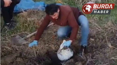 Hatay'da Altın Hırsızları Yakalandı: Altınlar Toprağa Gömülü Bulundu