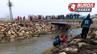 Şanlıurfa'da Sulama Kanalına Düşen Sürücüyü Arama Çalışmaları Sürüyor