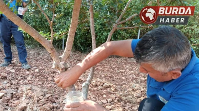 Sakız’dan yeni ürünler: Üretim çeşitlendi