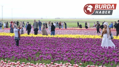 Türkiye’nin en büyük lale tarlasına ziyaretçi akını