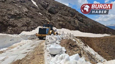 Kulp’ta çığ ve heyelan nedeniyle hasar gören yollarda onarım yapılıyor
