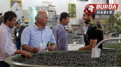 İzmir’de zeytin sektörünün büyük buluşması başladı