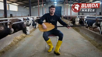 Ankaralı besici hayvanlarına saz çalıp, türkü söylüyor