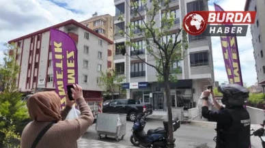 Bahar bereketiyle geldi: Yüzlerce arı şehir içinde yuva yaptı
