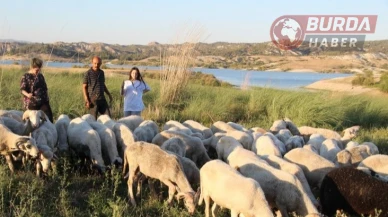 Çobanlık yaparken 2 dil öğrendi, üniversiteyi birincilikle mezun oldu