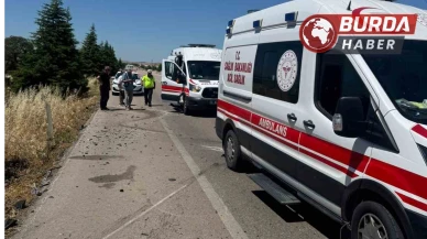 Arının neden olduğu kazada 1 kişi hayatını kaybetti